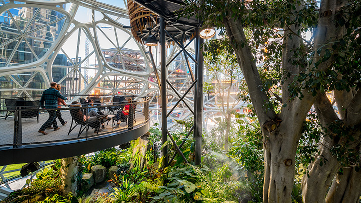 Amazon Biodomes, Seattle